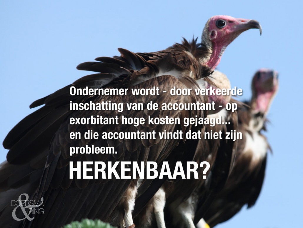 Boersma & Ring over starre accountants